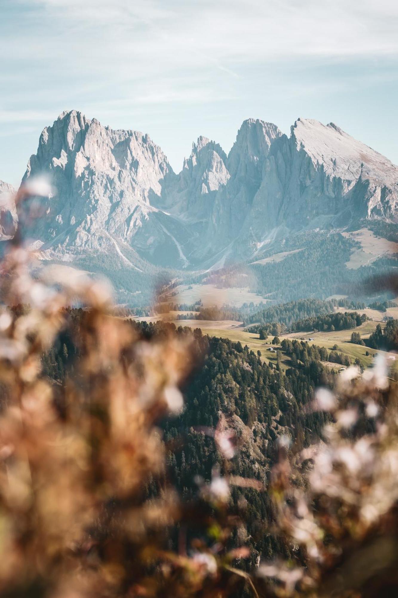 Dorfhotel Beludei Santa Cristina Val Gardena Экстерьер фото
